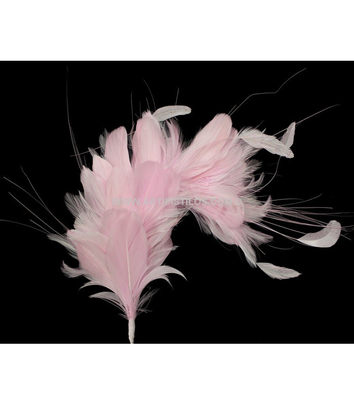 FEATHERS MOUNT 35 x 12 cm
