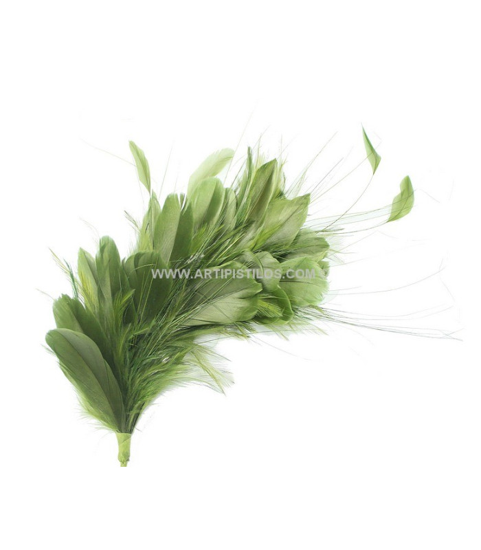 FEATHERS MOUNT 35 x 12 cm