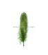 PLUMA DE OCA RASPADA 15 CMS.