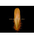 PLUMA DE OCA RASPADA 15 CMS.