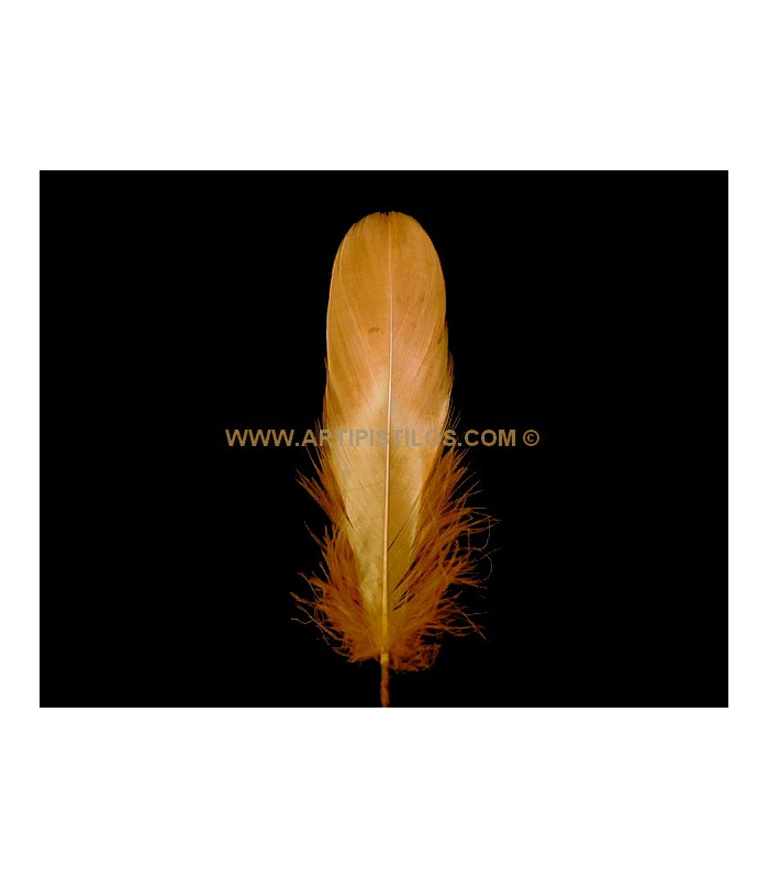 DUCK FEATHER 15 CMS.