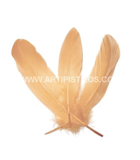 DUCK FEATHER 15 CMS.