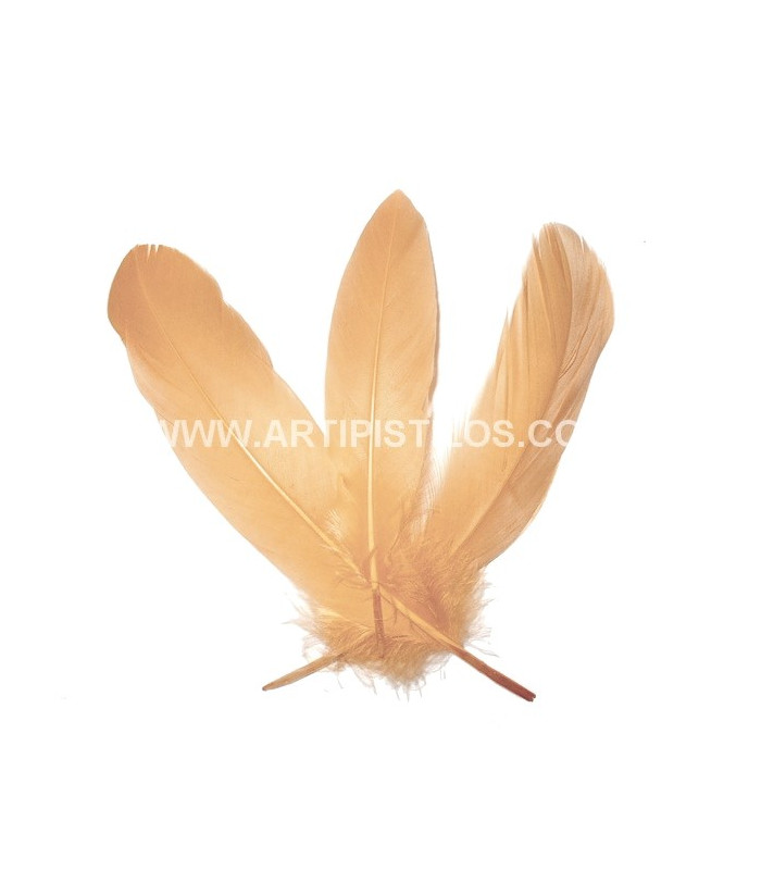 PLUMA DE OCA RASPADA 15 CMS.