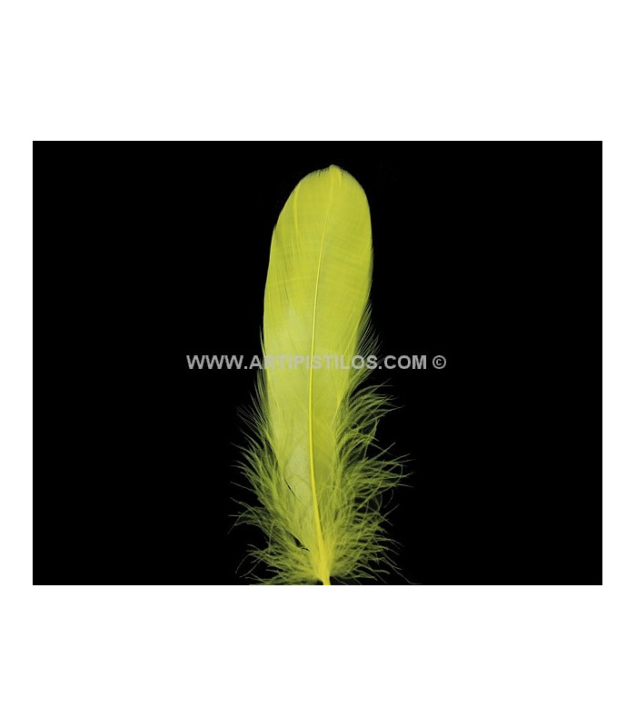 PLUMA DE OCA RASPADA 15 CMS.