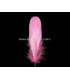 PLUMA DE OCA RASPADA 15 CMS.