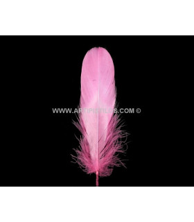 Geschabte Gänsefeder 15 cm