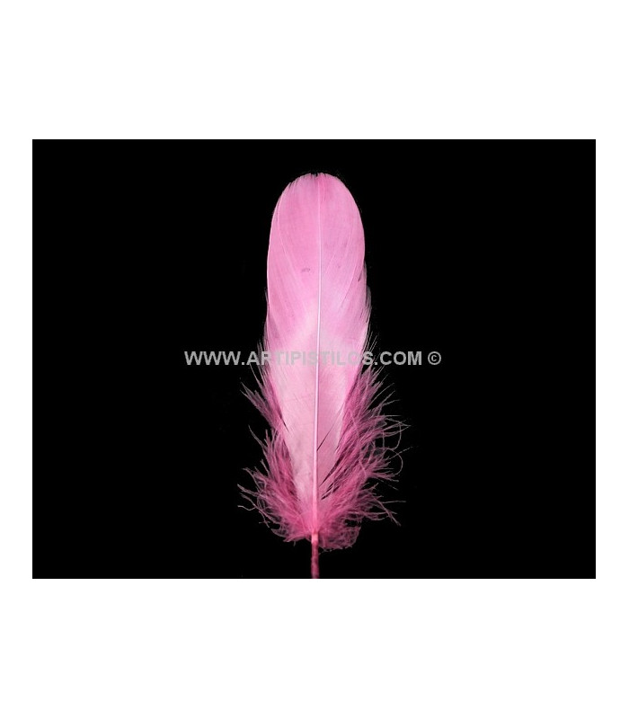 DUCK FEATHER 15 CMS.