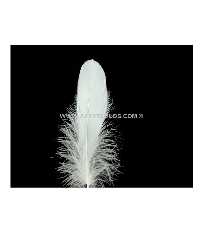 PLUMA DE OCA RASPADA 15 CMS.