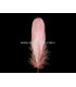 PLUMA DE OCA RASPADA 15 CMS.