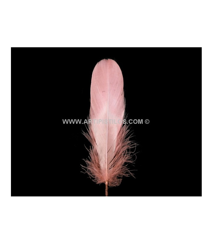 DUCK FEATHER 15 CMS.