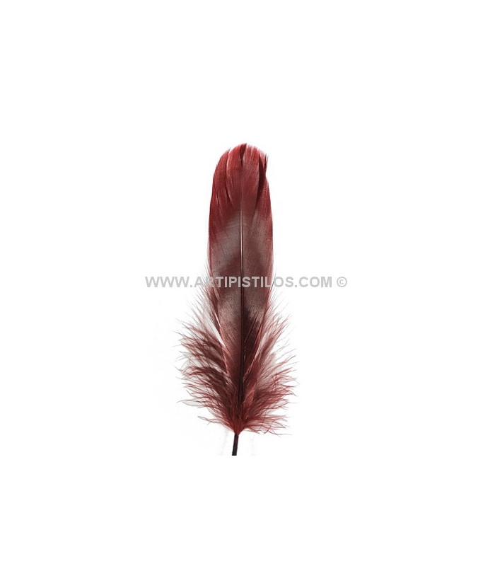 PLUMA DE OCA RASPADA 15 CMS.