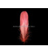 PLUMA DE OCA RASPADA 15 CMS.