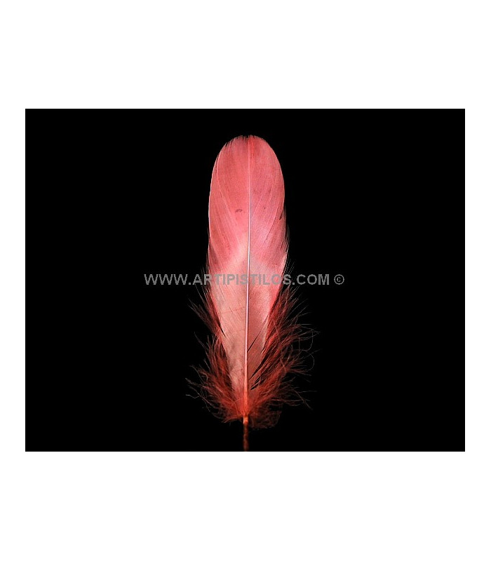 PLUMA DE OCA RASPADA 15 CMS.