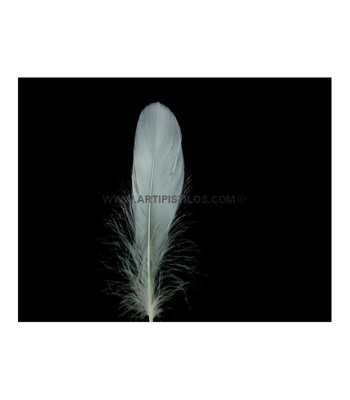 PLUMA DE OCA RASPADA 15 CMS.