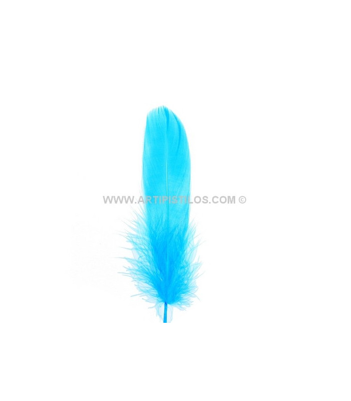 DUCK FEATHER 15 CMS.