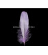 PLUMA DE OCA RASPADA 15 CMS.
