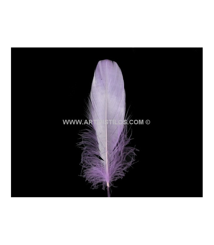 DUCK FEATHER 15 CMS.