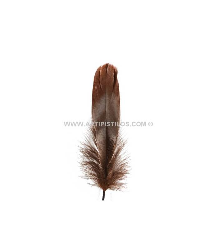 DUCK FEATHER 15 CMS.