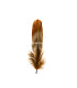 PLUMA DE OCA RASPADA 15 CMS.