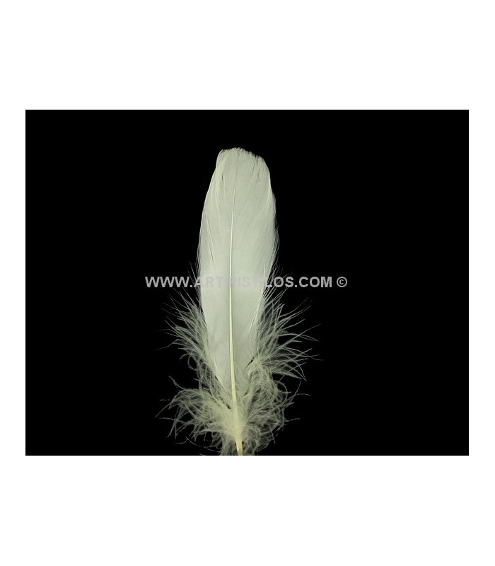 DUCK FEATHER 15 CMS.