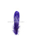 PLUMA DE OCA RASPADA 15 CMS.