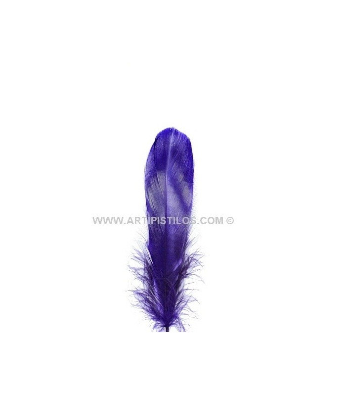 PLUMA DE OCA RASPADA 15 CMS.