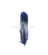 PLUMA DE OCA RASPADA 15 CMS.