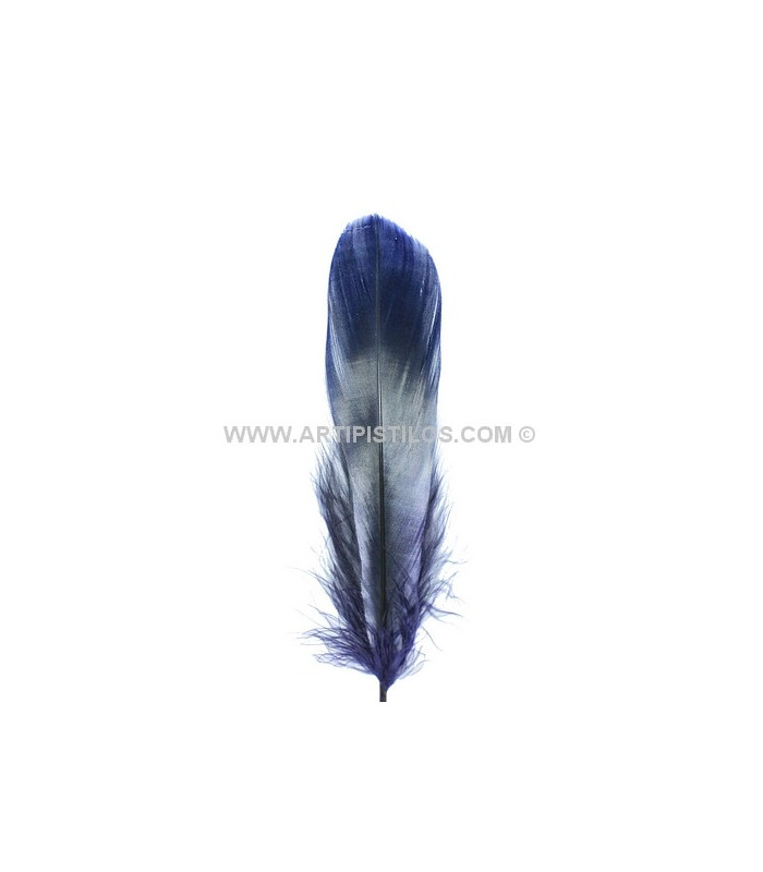 PLUMA DE OCA RASPADA 15 CMS.