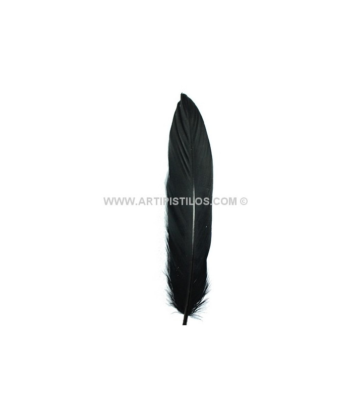 PLUMA DE OCA RASPADA 15 CMS.