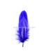 PLUMA DE OCA RASPADA 15 CMS.