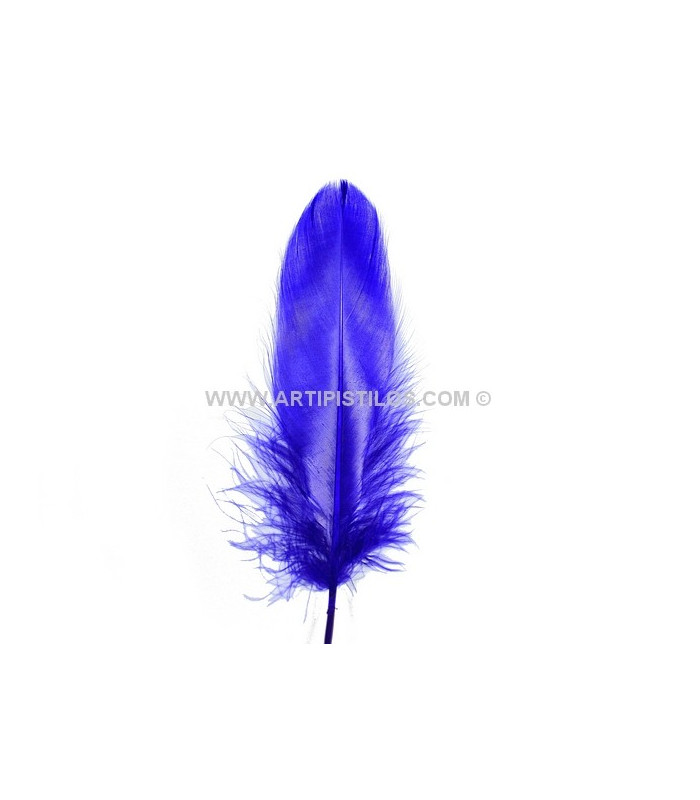 DUCK FEATHER 15 CMS.