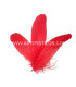PLUMA DE OCA RASPADA 15 CMS.