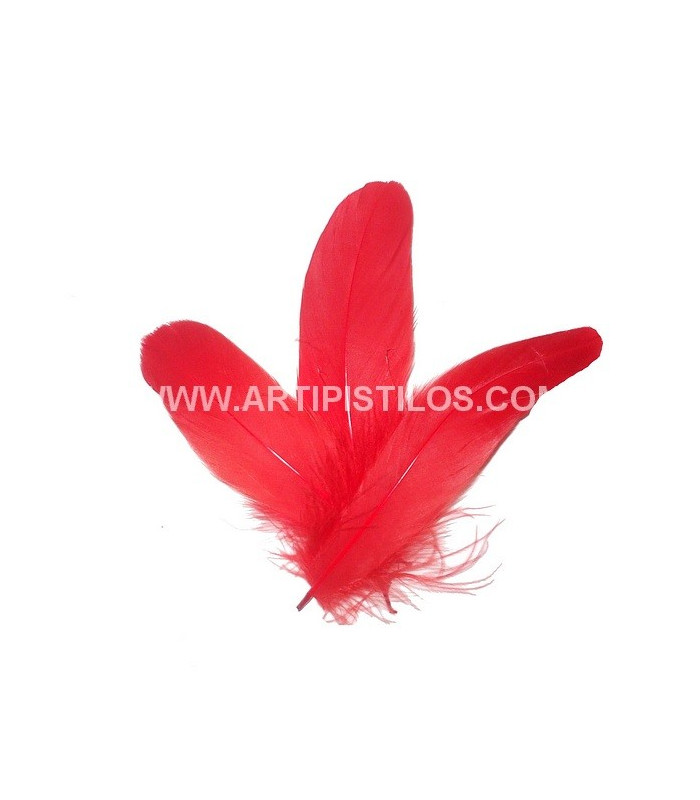 PLUMA DE OCA RASPADA 15 CMS.
