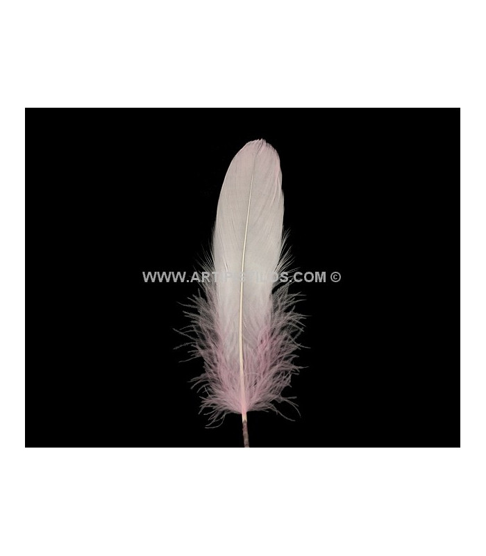 DUCK FEATHER 15 CMS.