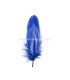 PLUMA DE OCA RASPADA 15 CMS.
