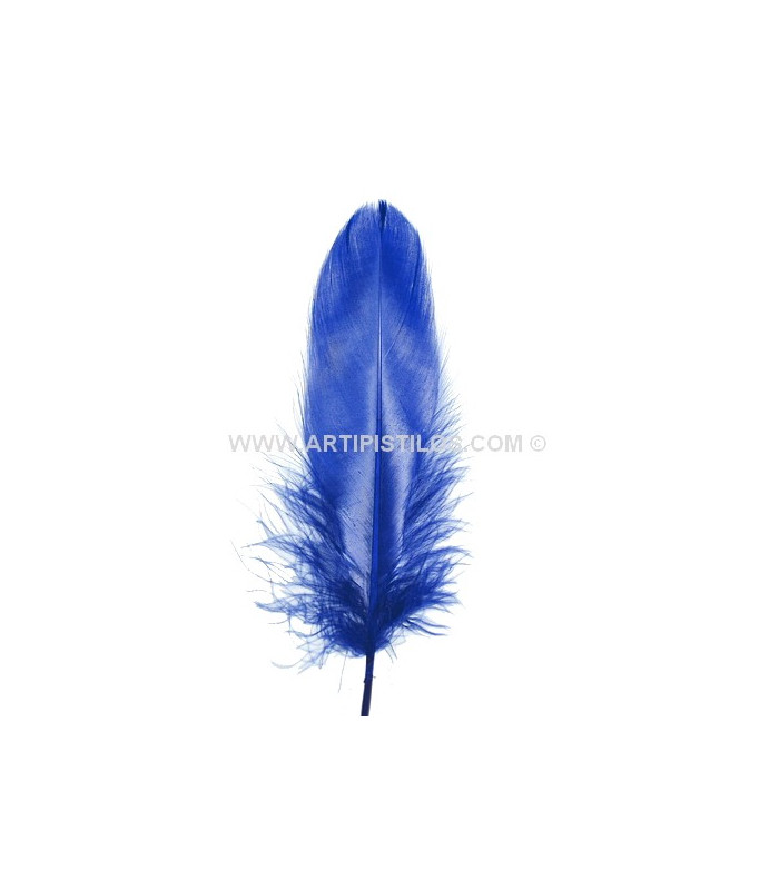 DUCK FEATHER 15 CMS.