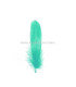PLUMA DE OCA RASPADA 15 CMS.