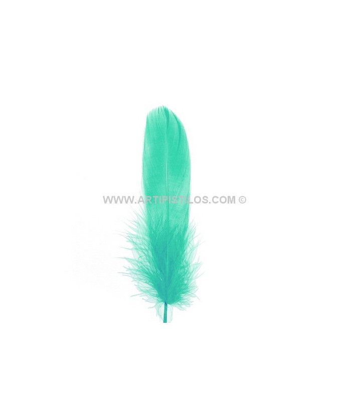 DUCK FEATHER 15 CMS.