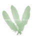 PLUMA DE OCA RASPADA 15 CMS.
