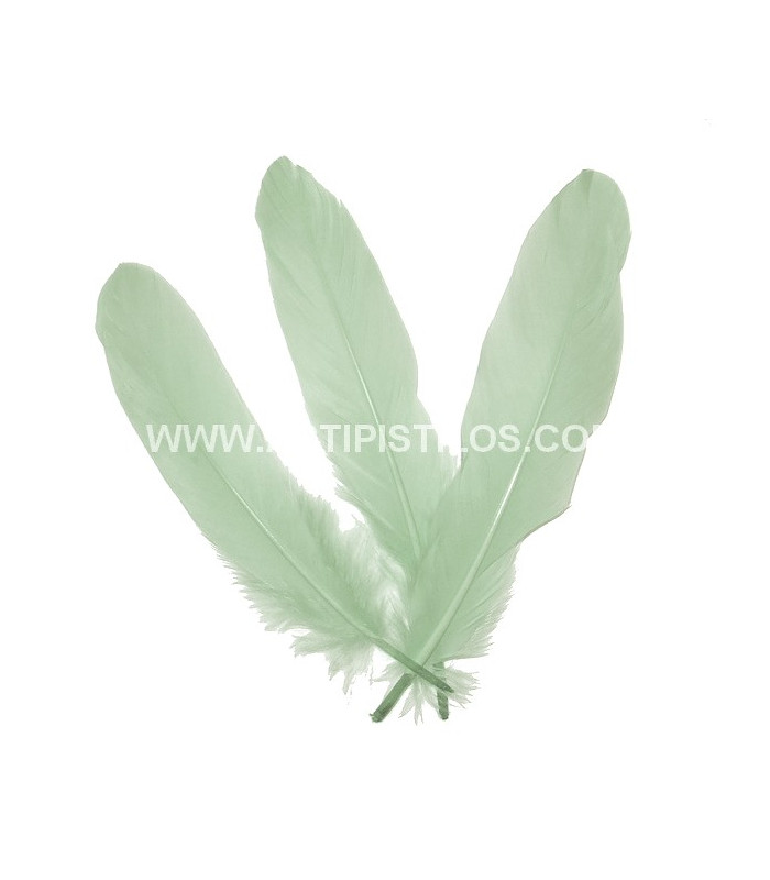 DUCK FEATHER 15 CMS.