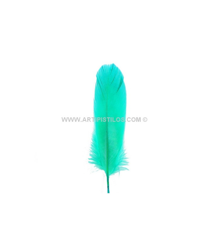 DUCK FEATHER 15 CMS.