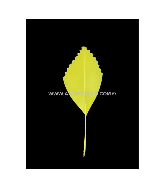 PLUMA DE PATO RECORTADA 15 CMS.