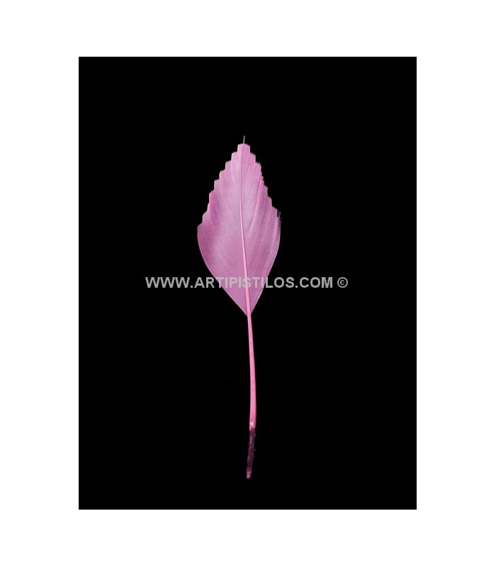 PLUMA DE PATO RECORTADA 15 CMS.
