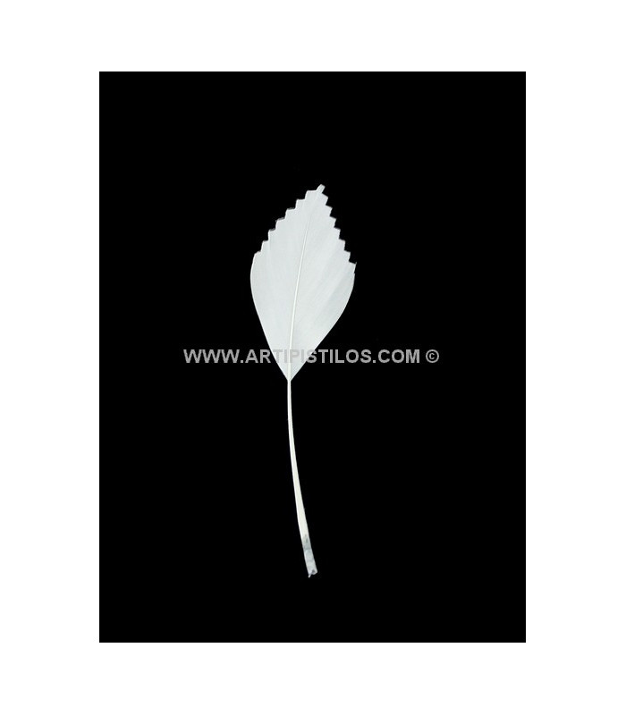 PLUMA DE PATO RECORTADA 15 CMS.