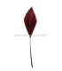 PLUMA DE PATO RECORTADA 15 CMS.