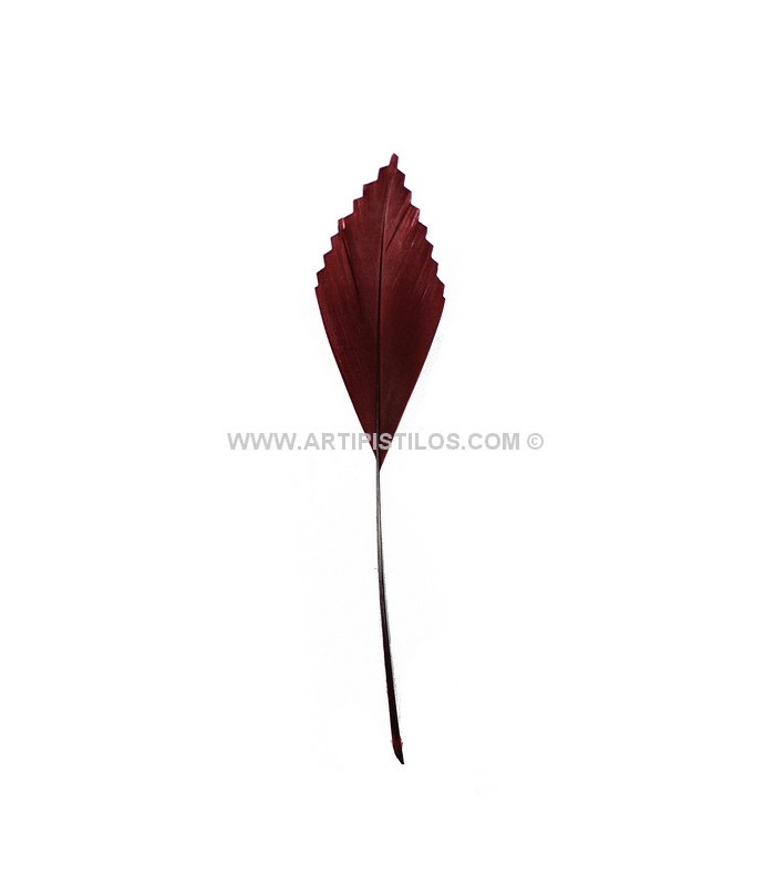 PLUMA DE PATO RECORTADA 15 CMS.