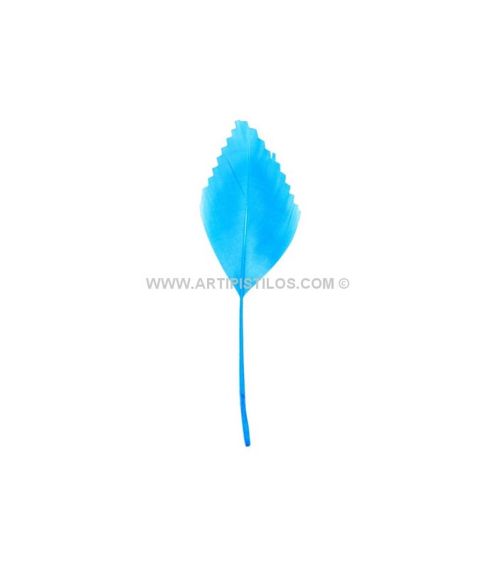 PLUMA DE PATO RECORTADA 15 CMS.