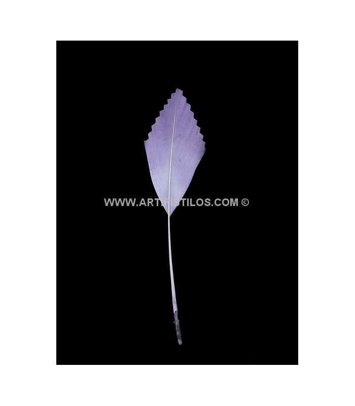 PLUMA DE PATO RECORTADA 15 CMS.