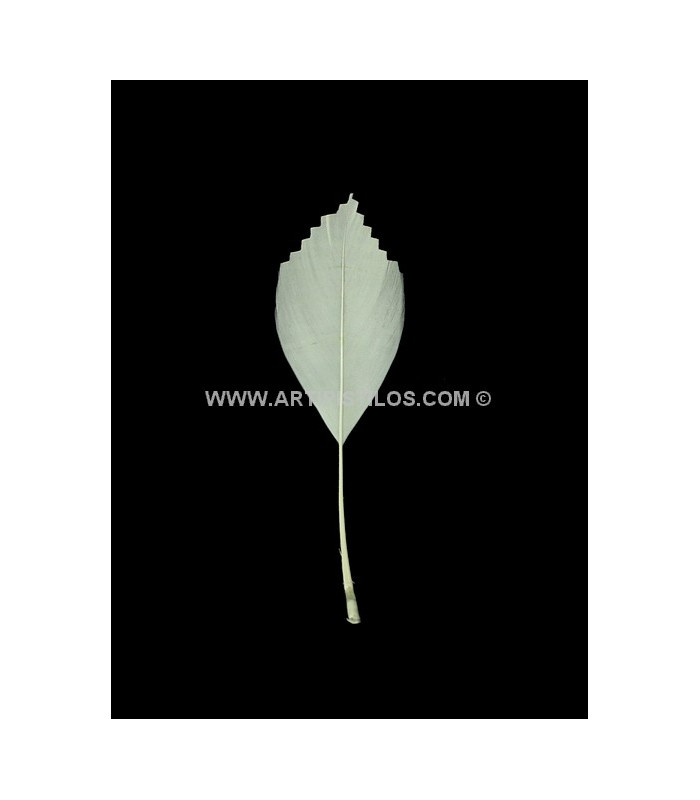 PLUMA DE PATO RECORTADA 15 CMS.