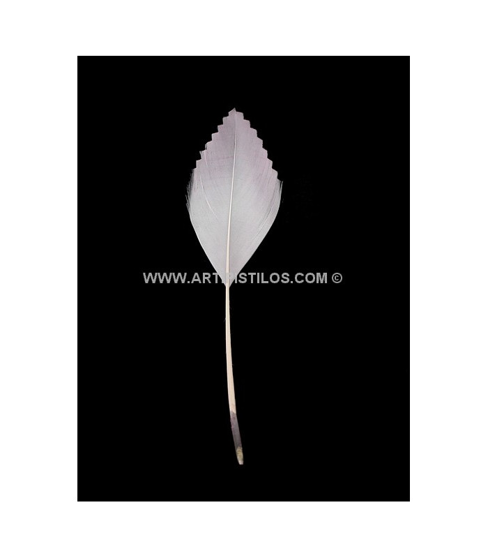 PLUMA DE PATO RECORTADA 15 CMS.